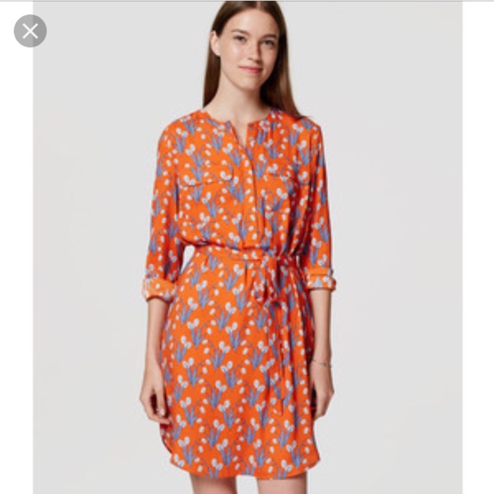 Loft Dress!